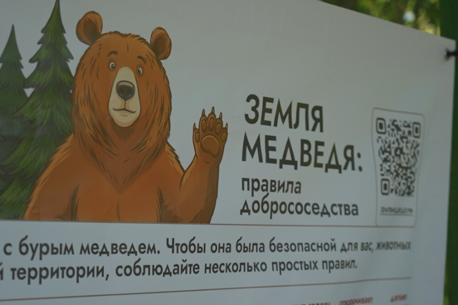 На Камчатке начали строить центр реабилитации диких животных «Земля медведя». Фото: kamgov.ru. Фотография 2