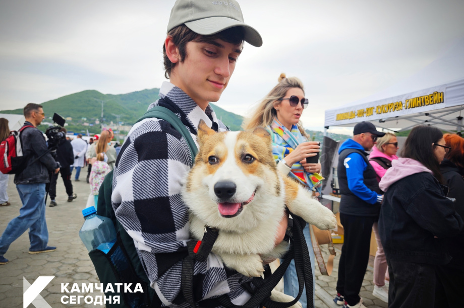 Петропавловск-Камчатский отгулял День молодёжи (фото). ИА Камчатка. Фотография 6