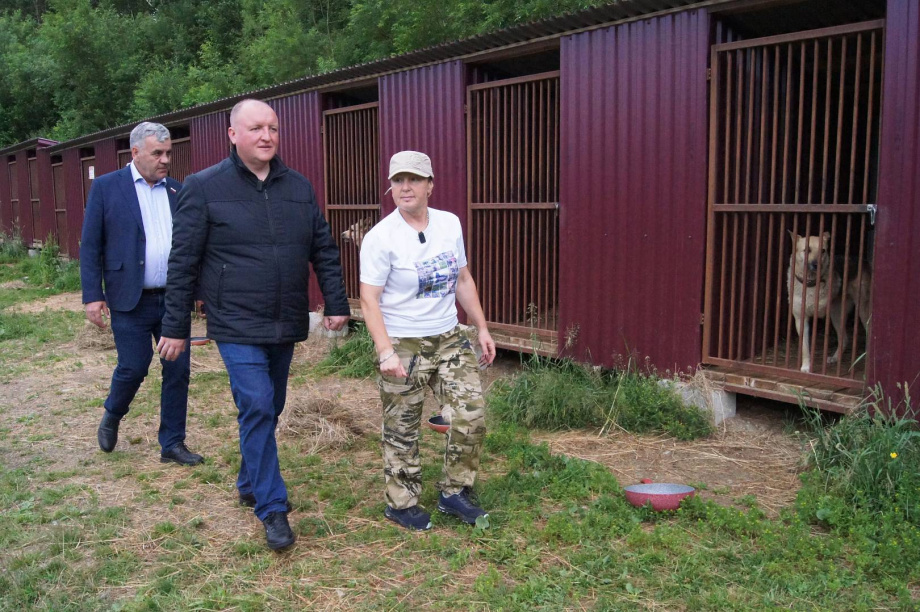 Александр Долгунков: Законы в сфере обращения с животными помогли снизить популяцию бездомных собак на Камчатке. zskk.ru. Фотография 4