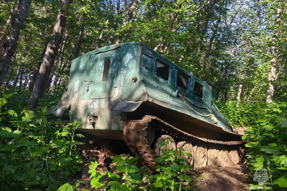 Камчатские спасатели МЧС нашли и эвакуировали пострадавшего с Жировой. . Фотография 6