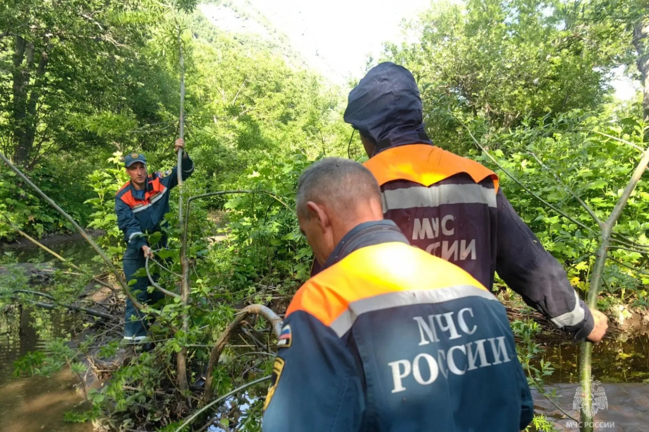 Камчатские спасатели МЧС нашли и эвакуировали пострадавшего с Жировой. . Фотография 8
