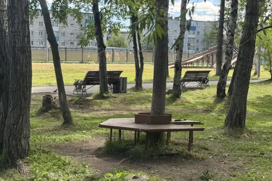 Парк «Сказка» в Елизове реконструируют для отдыха жителей. . Фотография 4