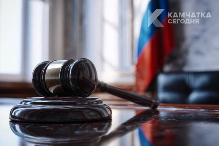 Житель Елизова предстанет перед судом за дебош на собрании дачников. Фото: ИА "Камчатка"