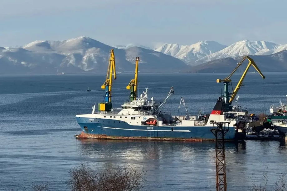 Председатель Правительства РФ оперативно поручил проработать обращение Ирины Яровой в защиту рыбаков Камчатки. 